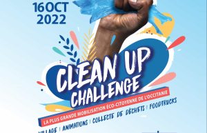 Affiche clean up challenge
